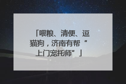 喂粮、清便、逗猫狗，济南有帮“上门宠托师”