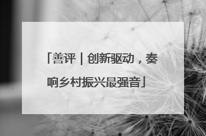 善评｜创新驱动，奏响乡村振兴最强音