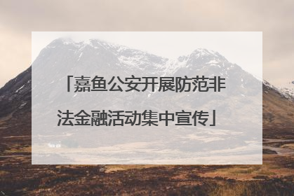 嘉鱼公安开展防范非法金融活动集中宣传