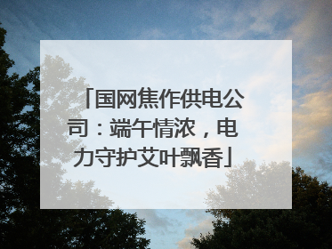 国网焦作供电公司：端午情浓，电力守护艾叶飘香