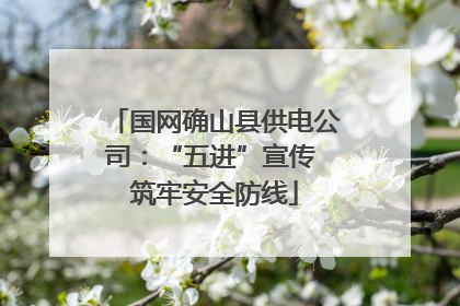 国网确山县供电公司：“五进”宣传 筑牢安全防线