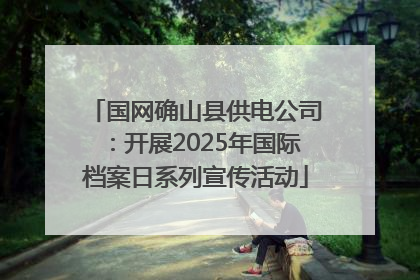 国网确山县供电公司：开展2025年国际档案日系列宣传活动