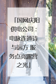 国网庆阳供电公司：电脉连通诗与远方 服务点亮露营之光