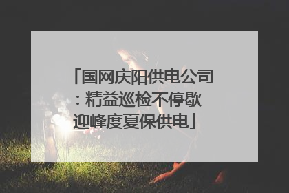 国网庆阳供电公司：精益巡检不停歇 迎峰度夏保供电