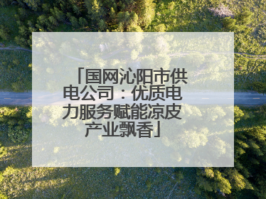 国网沁阳市供电公司：优质电力服务赋能凉皮产业飘香