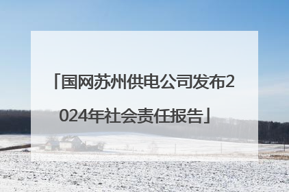 国网苏州供电公司发布2024年社会责任报告