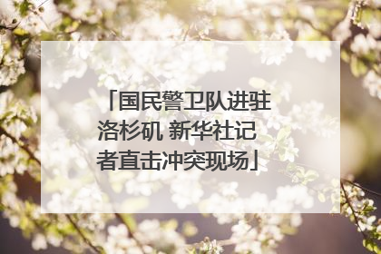 国民警卫队进驻洛杉矶 新华社记者直击冲突现场