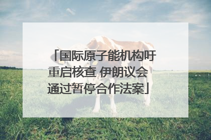 国际原子能机构吁重启核查 伊朗议会通过暂停合作法案
