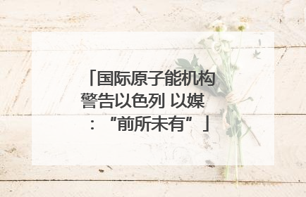 国际原子能机构警告以色列 以媒：“前所未有”