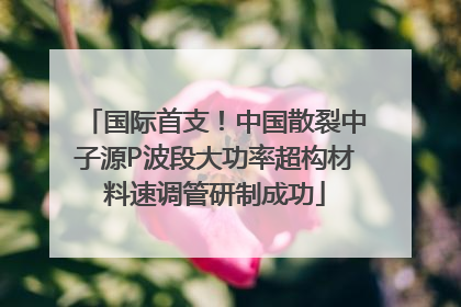 国际首支！中国散裂中子源P波段大功率超构材料速调管研制成功