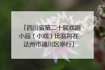 四川省第二十届戏剧小品（小戏）比赛将在达州市通川区举行