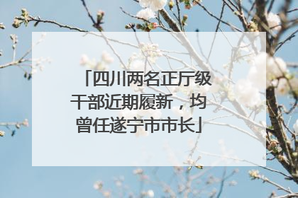 四川两名正厅级干部近期履新，均曾任遂宁市市长