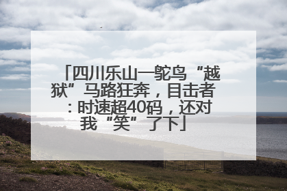 四川乐山一鸵鸟“越狱”马路狂奔，目击者：时速超40码，还对我“笑”了下