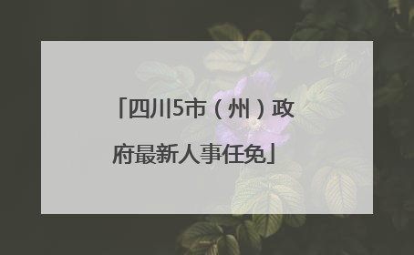 四川5市（州）政府最新人事任免