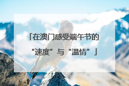 在澳门感受端午节的“速度”与“温情”
