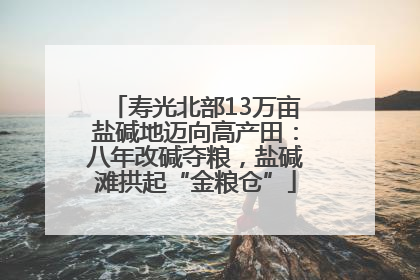 寿光北部13万亩盐碱地迈向高产田：八年改碱夺粮，盐碱滩拱起“金粮仓”