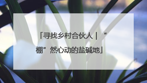 寻找乡村合伙人｜“棚”然心动的盐碱地