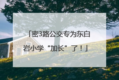 密3路公交专为东白岩小学“加长”了！