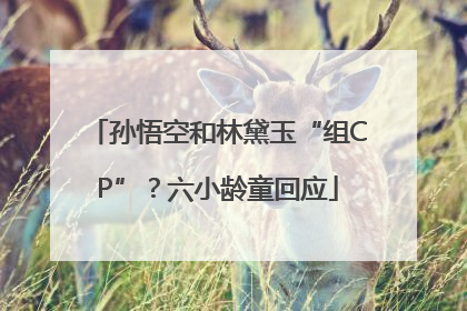 孙悟空和林黛玉“组CP”？六小龄童回应