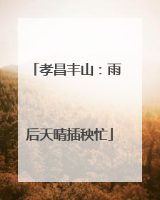 孝昌丰山：雨后天晴插秧忙