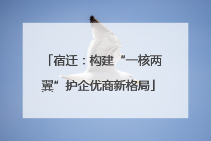 宿迁：构建“一核两翼”护企优商新格局