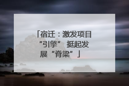 宿迁：激发项目“引擎” 挺起发展“脊梁”