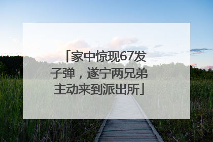 家中惊现67发子弹，遂宁两兄弟主动来到派出所