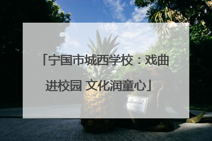 宁国市城西学校：戏曲进校园 文化润童心