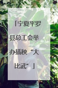 宁夏平罗县总工会举办插秧“大比武”