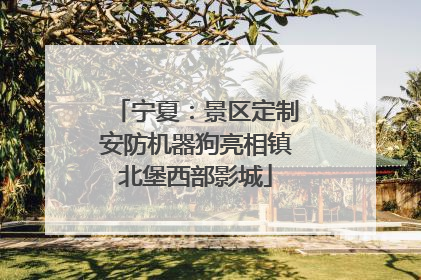 宁夏：景区定制安防机器狗亮相镇北堡西部影城