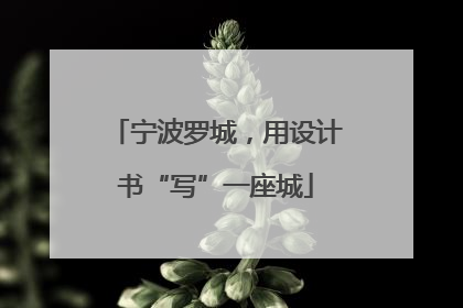 宁波罗城，用设计书“写”一座城