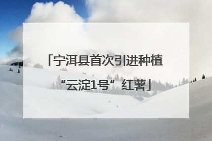 宁洱县首次引进种植“云淀1号”红薯