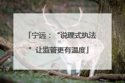 宁远：“说理式执法”让监管更有温度