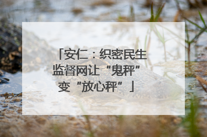 安仁：织密民生监督网让“鬼秤”变“放心秤”