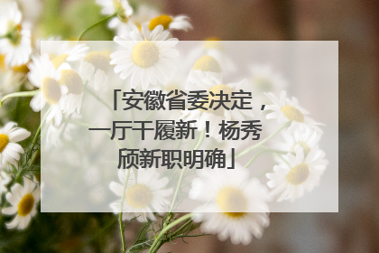 安徽省委决定，一厅干履新！杨秀颀新职明确