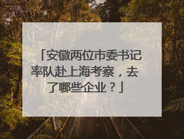 安徽两位市委书记率队赴上海考察，去了哪些企业？