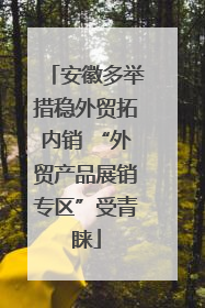 安徽多举措稳外贸拓内销 “外贸产品展销专区”受青睐