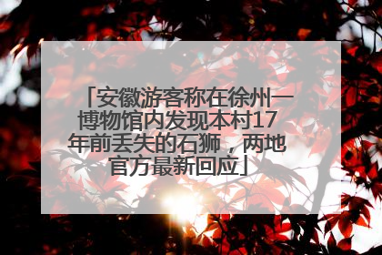 安徽游客称在徐州一博物馆内发现本村17年前丢失的石狮，两地官方最新回应