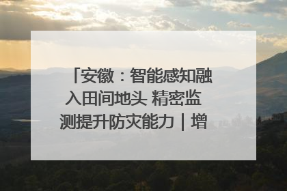 安徽：智能感知融入田间地头 精密监测提升防灾能力｜增发国债气象项目落地见效系列报道