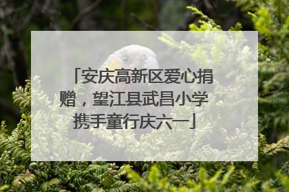 安庆高新区爱心捐赠，望江县武昌小学携手童行庆六一