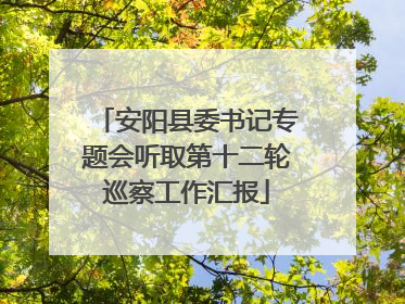 安阳县委书记专题会听取第十二轮巡察工作汇报