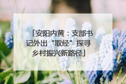 安阳内黄：支部书记外出“取经”探寻乡村振兴新路径