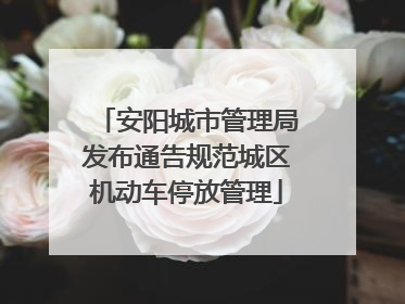 安阳城市管理局发布通告规范城区机动车停放管理