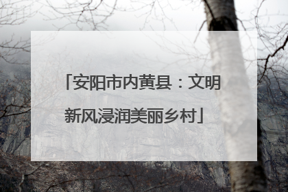安阳市内黄县：文明新风浸润美丽乡村