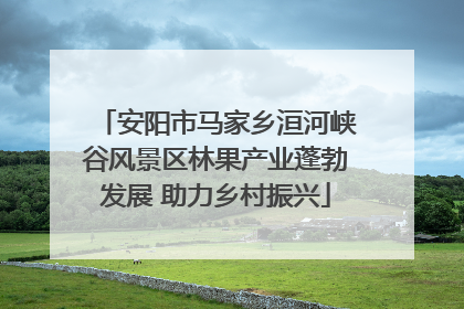 安阳市马家乡洹河峡谷风景区林果产业蓬勃发展 助力乡村振兴