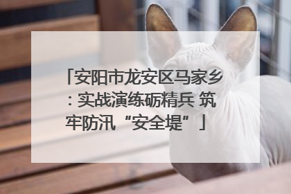 安阳市龙安区马家乡：实战演练砺精兵 筑牢防汛“安全堤”