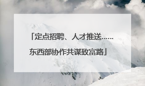 定点招聘、人才推送……东西部协作共谋致富路