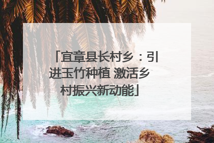 宜章县长村乡：引进玉竹种植 激活乡村振兴新动能