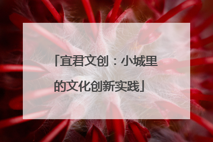 宜君文创：小城里的文化创新实践
