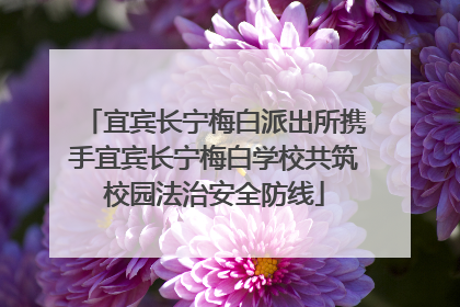 宜宾长宁梅白派出所携手宜宾长宁梅白学校共筑校园法治安全防线